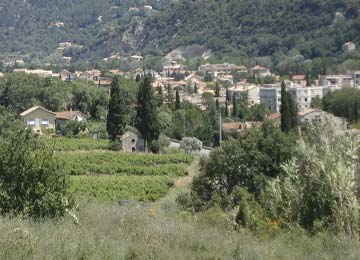 STATION : Baux de Provence / le Paradou
