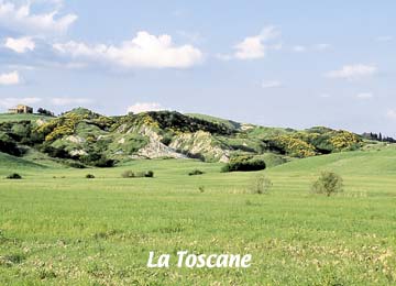 STATION : Cafaggio / Campiglia Marittima