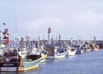 STATION : Ile d'oleron