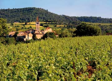 STATION : Saint-Laurent-du-Verdon